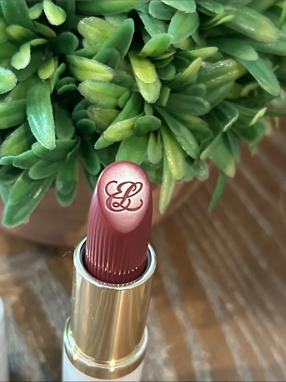 NEW! Estée Lauder Pure Color Crème Rouge a Levres Lipstick Bold Desires 670